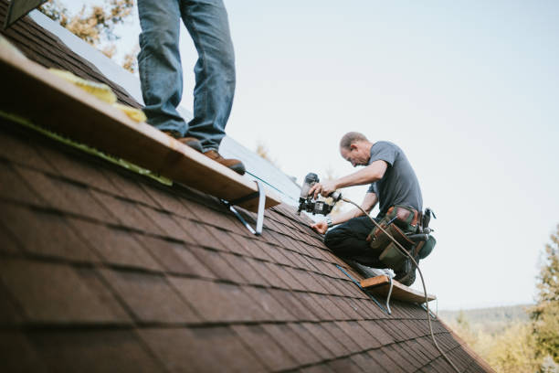 Best Roof Ventilation Installation  in Tinley Park, IL